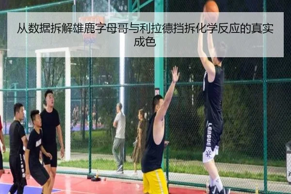 从数据拆解雄鹿字母哥与利拉德挡拆化学反应的真实成色